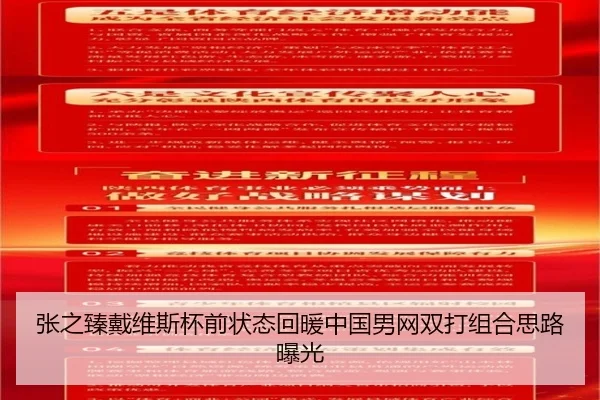 张之臻戴维斯杯前状态回暖中国男网双打组合思路曝光