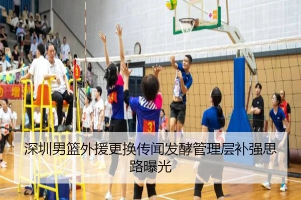 深圳男篮外援更换传闻发酵管理层补强思路曝光